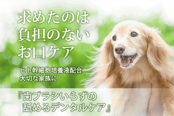 犬のデンタルケア,犬の口臭,ドクターワンデル,犬の歯磨きジェル,犬の歯周病