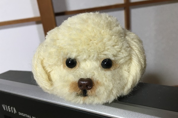 犬ぽんぽん プードル www.krzysztofbialy.com